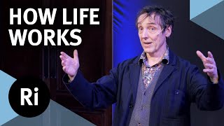 What is life and how does it work  with Philip Ball [upl. by Rollin725]