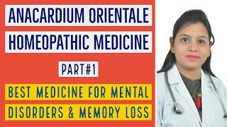 Anacardium orientale  anacardium homeopathic medicine  anacardium uses amp benefits part1 [upl. by Cailly888]