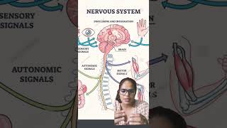 Different types of receptors [upl. by Boony]