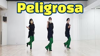 초급 Peligrosa by Ria Vos  Line Dance [upl. by Grand835]