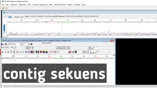 Contig sekuen Dengan Bioedit [upl. by Massingill]