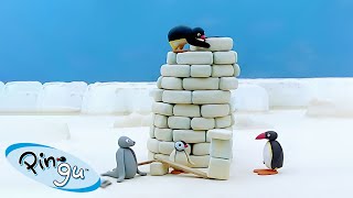 Pingu Builds a Tower 🐧  Pingu  Official Channel  Cartoons For Kids [upl. by Parthinia672]