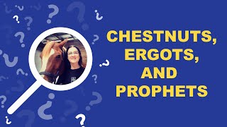 What Are Horse Chestnuts Ergots and Other Horse Oddities [upl. by Aedrahs]