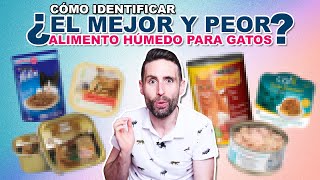 ¿Cuál es el MEJOR y PEOR ALIMENTO HÚMEDO latita sobre paté para tu GATO según su etiqueta [upl. by Gabriel]