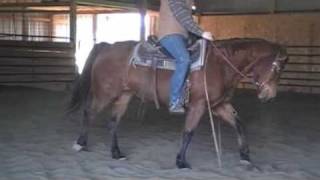 Horse Training  Spin Critique pt2 [upl. by Agiaf]