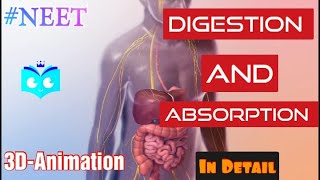 Digestion and Absorption part 1  Biology Endgame  class 11 NEET 2023 amp 2024  Study animated [upl. by Nnod]