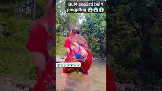 ২০২৪ সালের সবচেয়ে আকর্ষণীয় গোসল ভিডিও  Bangla New Gosol Video  Bd bathing 2024 Taiba FilmS [upl. by Jacinthe806]