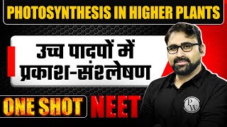 PHOTOSYNTHESIS IN HIGHER PLANTS in 1 Shot  उच्च पादपों में प्रकाशसंश्लेषण  Concept amp PYQ  NEET [upl. by Zippora]