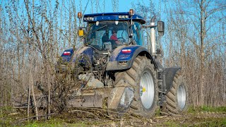 Steyr Terrus 6270 CVT quotBlue Powerquot  Fresa Forestale FAE [upl. by Arman]