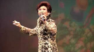 Teochew opera concert  陈楚惠 Tan Chor Hui [upl. by Ebehp45]