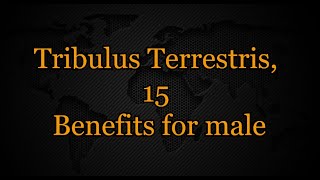 Tribulus terrestris 15 Benefits for male [upl. by Acitel793]