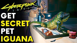 How To Get The Iguana Pet In Cyberpunk 2077  Secret Iguana Pet [upl. by Servetnick]