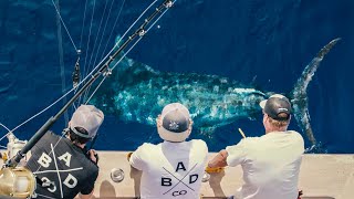 Reeling in 13 tons of Blue Marlin in 7 Days Azores Leg 6 Trip 22 [upl. by Einiar]