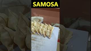 Samosa  How do they make it samosa [upl. by Phippen129]