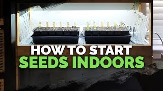 Seed Starting Indoors Under Grow Lights 101 [upl. by Vivyan]