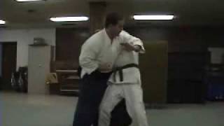 Aikido defense against a straight punch to the face  Jon Hay Sensei [upl. by Eenwahs420]