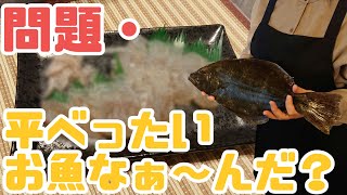 【料理】昆布締めの刺身を作る20代主婦【Shorts】 [upl. by Olimac394]