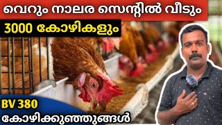 75 രൂപ30 ദിവസം പ്രായമായ കുഞ്ഞുങ്ങൾ🐤മാസം ലക്ഷങ്ങൾ നേടാം💰 [upl. by Margette]