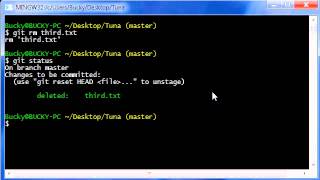 Git Tutorial  10  How to Delete Files [upl. by Mapel139]