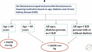 HYPERTENSION TREATMENT ALGORITHM [upl. by Goetz952]