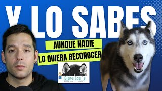 ✅ VERDADES INCOMODAS sobre el HUSKY SIBERIANO 😱 [upl. by Resaec]