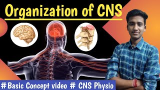 Organization of CNS CNS Physio LecturesMBBS hindi Ashish [upl. by Norrehs]