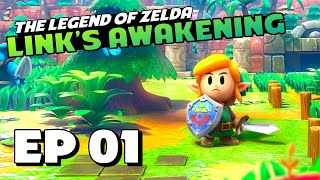 KOHOLINT ISLAND  Part 1  The Legend of Zelda Links Awakening NoCommentary Walkthrough [upl. by Gibson621]