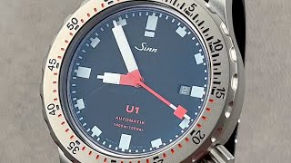 Sinn Diving Watch U1 1010010 Sinn Watch Review [upl. by Sirovaj]