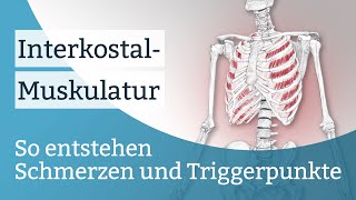 Interkostalmuskulatur Schmerzen Triggerpunkte und deren Aktivierung [upl. by Zechariah]