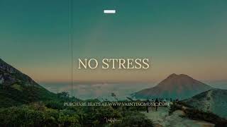 Wizkid x Burna Boy x Rema Type Beat 2023  quotNO STRESS [upl. by Ahsilet]