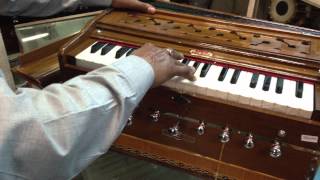 Harmonium BINASWAR 3 ¼ oct with old GERMAN reeds [upl. by Eram85]