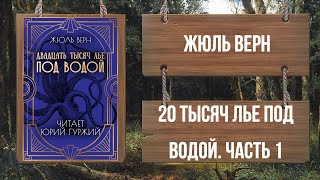 ЖЮЛЬ ВЕРН  ДВАДЦАТЬ ТЫСЯЧ ЛЬЕ ПОД ВОДОЙ  ЧАСТЬ 1 [upl. by Akoyn]