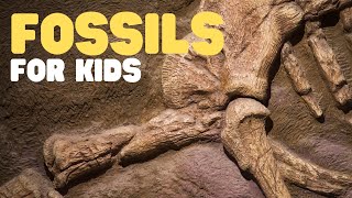 Fossils for Kids  Learn all about how fossils are formed the types of fossils and more [upl. by Millur]