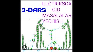 ULOTRIKSGA OID MASALALAR YECHISH 3DARS [upl. by Adnhoj96]