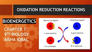 Oxidation Reduction Reaction  Class 9  BIOENERGETICS [upl. by Otilia]