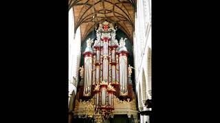 Buxtehude Passacaglia in D Minor  Piet Kee Live [upl. by Ama846]