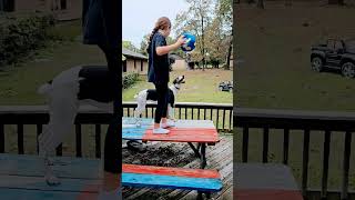 Circus Whippet Catches In Mid Air 🪩 techno music dogs funnyvideo [upl. by Nonnaer652]