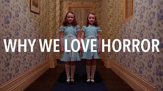 Why do we love horror movies [upl. by Iuqcaj]