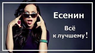 Есенин Базовая БИ Всё к лучшему Соционика [upl. by Harutek24]