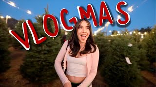 Ya Tenemos Arbolito🎄 VLOGMAS DÍA 1 [upl. by Glennis]