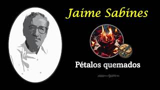 Jaime Sabines Pétalos quemados Canción [upl. by Heeley909]