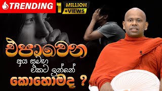 එපාවෙන අය සමඟ එකට ඉන්නේ කොහොමද  Venerable Welimada Saddaseela Thero [upl. by Tudela805]