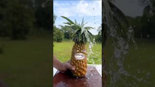 Ananas fruit 🍓🤣shorts shortvideo funny [upl. by Garneau]