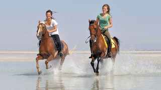 Reiten am Meer in Tunesien mit PFERD amp REITER [upl. by Semreh310]