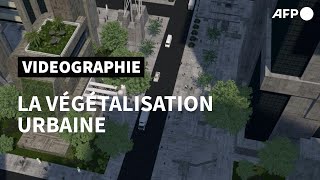 Comprendre la végétalisation urbaine  AFP [upl. by Cornela]