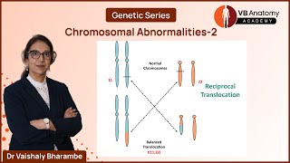 Decoding Structural Chromosomal Anomalies Part 2 Translocation amp Isochromosome vbanatomy [upl. by Iek]