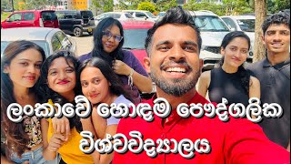 SLIIT Uni Tour  Campus Vlog  Lasindu Senarath [upl. by Ayidah]