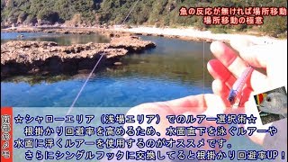 【沖縄釣り】釣れなければ即場所移動☆ [upl. by Eemiaj]