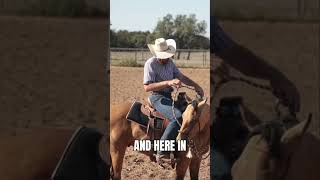 Soft in the Hackamore coltstarting reinedcowhorse nrcha [upl. by Mccallion]