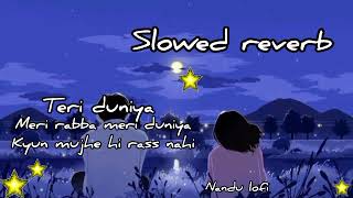 Teri Duniya Meri Raba Kyun mujhe Rass Nahi slow amp reverb  sad song  Sahir Ali Bagha  New song [upl. by Fugazy273]